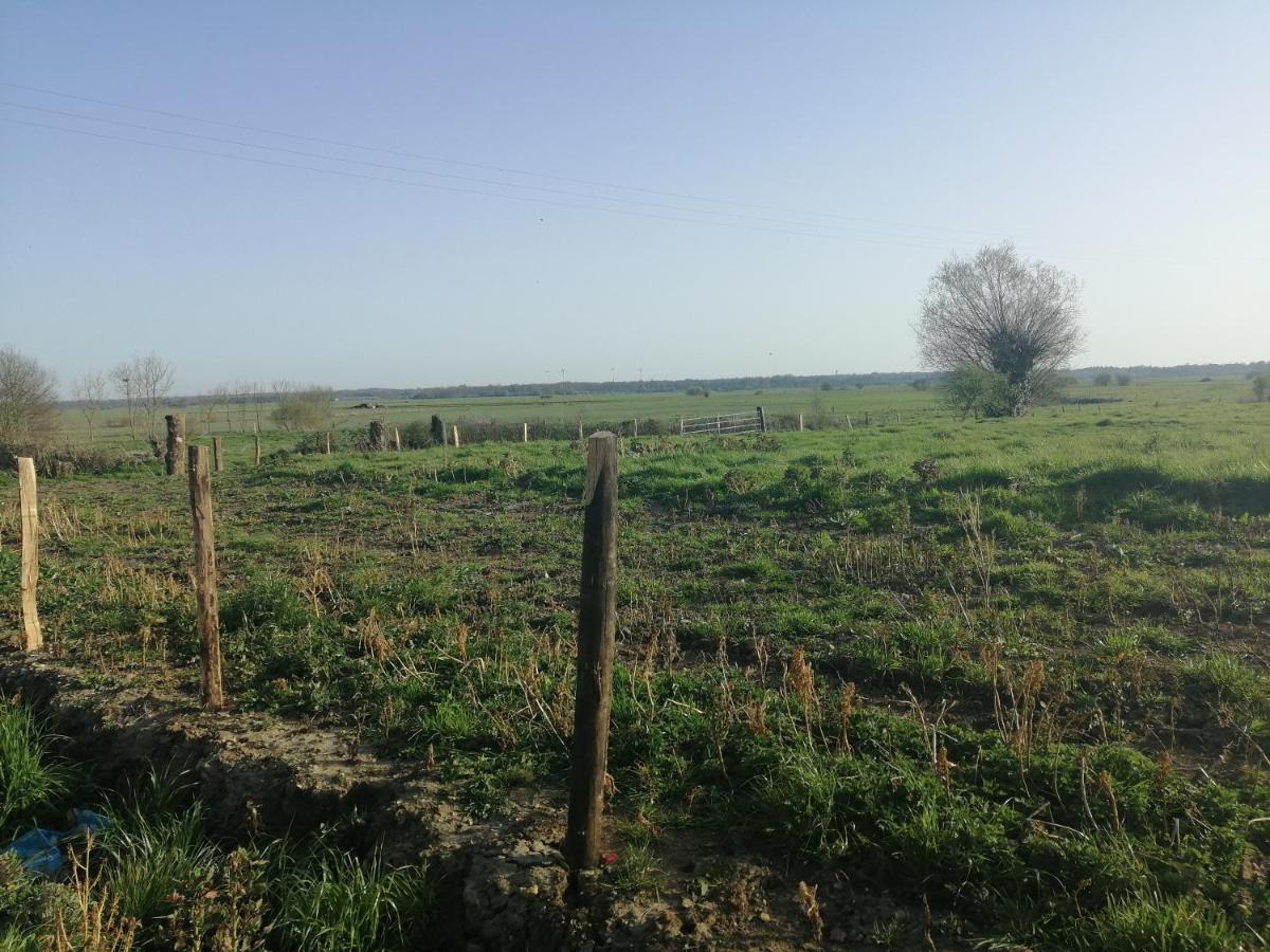 Charming Cottage Du Marais Dday Omaha Beach Canchy  Εξωτερικό φωτογραφία