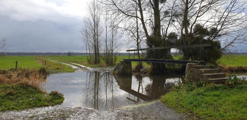 Charming Cottage Du Marais Dday Omaha Beach Canchy  Εξωτερικό φωτογραφία
